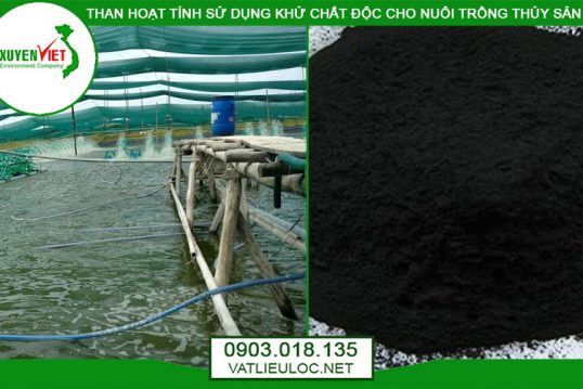 Than hoạt tính khử chất độc cho nuôi trồng thủy sản - Vật Liệu Lọc Nước Xuyên Việt - Công Ty TNHH Môi Trường Xuyên Việt